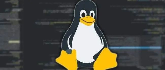 Linux中是谁占用了我的端口